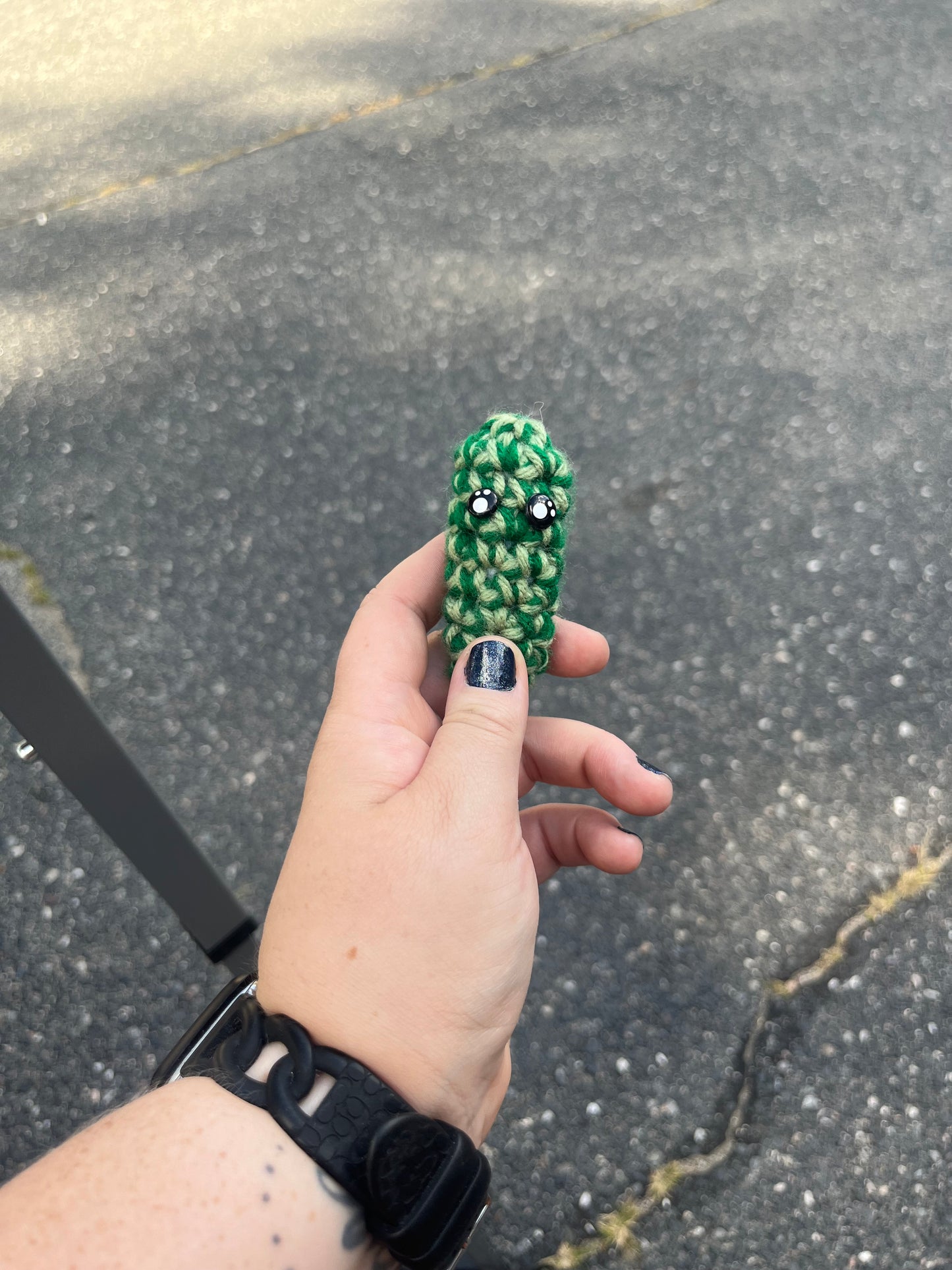 Fidget Pickle
