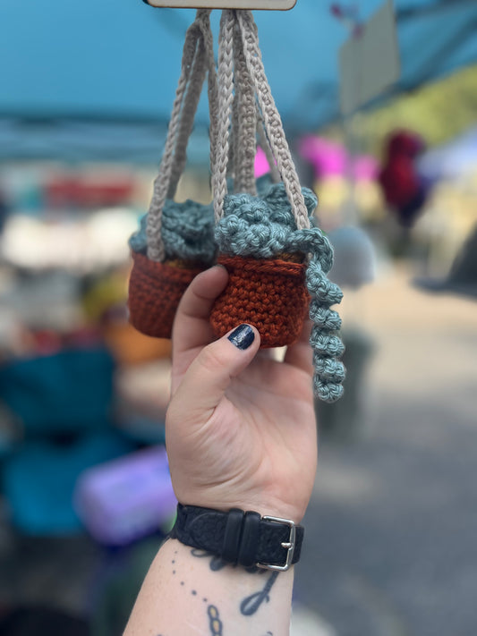 Mini Hanging Plant