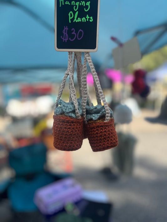 Mini Hanging Plant